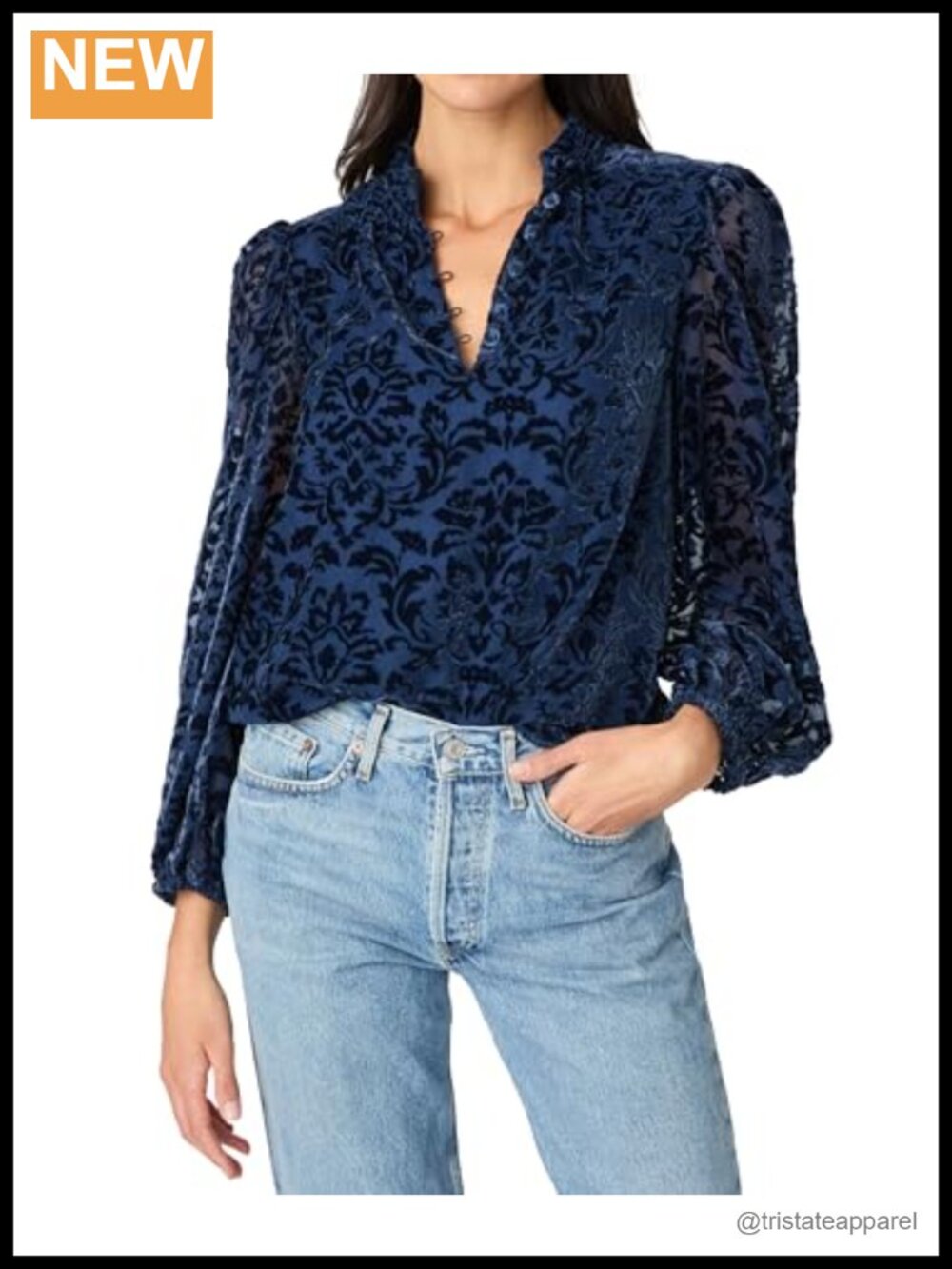 Velvet Burnout Long Sleeve Blouse with Mock Collar and Covered Buttons